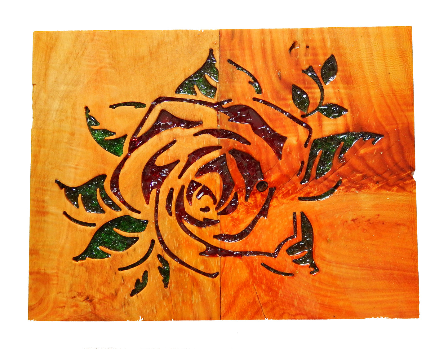 Macrocarpa Rose