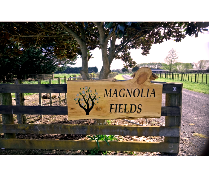 Macrocarpa Sign - Magnolia Fields