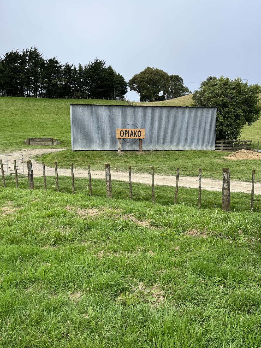Rimu Sign - Opiako